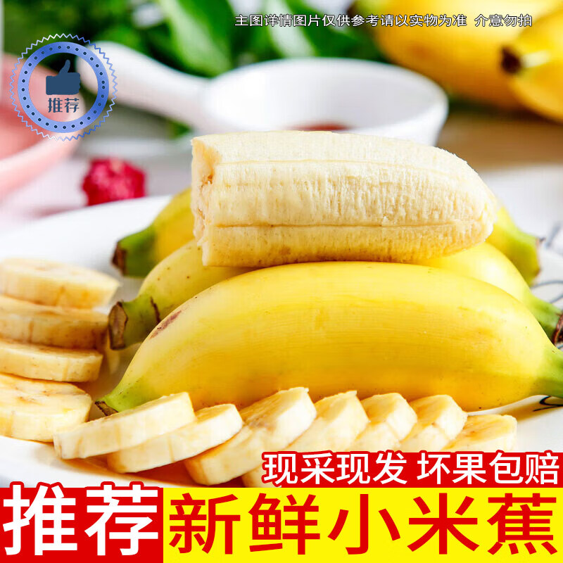 智洲国产香蕉 新鲜水果生鲜 整箱约3.3-3.0斤/净含量 1200g
