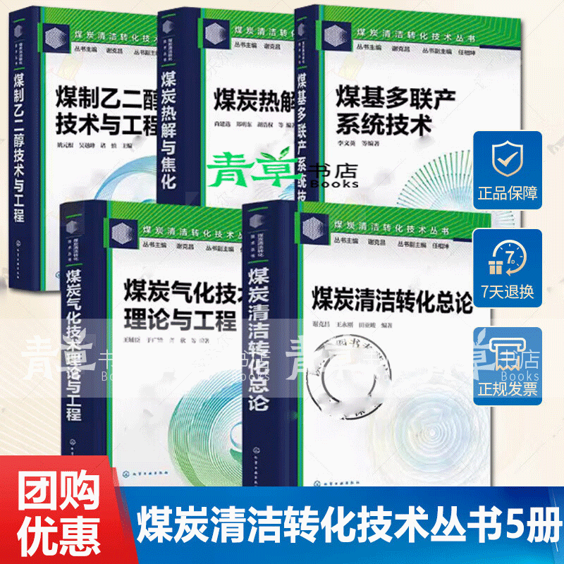 煤炭清洁转化技术丛书5册 煤炭清洁转化总论+煤基多联产系统技术+煤炭热解与焦化 煤炭清洁转化技术 煤炭清洁转化技术丛书5册