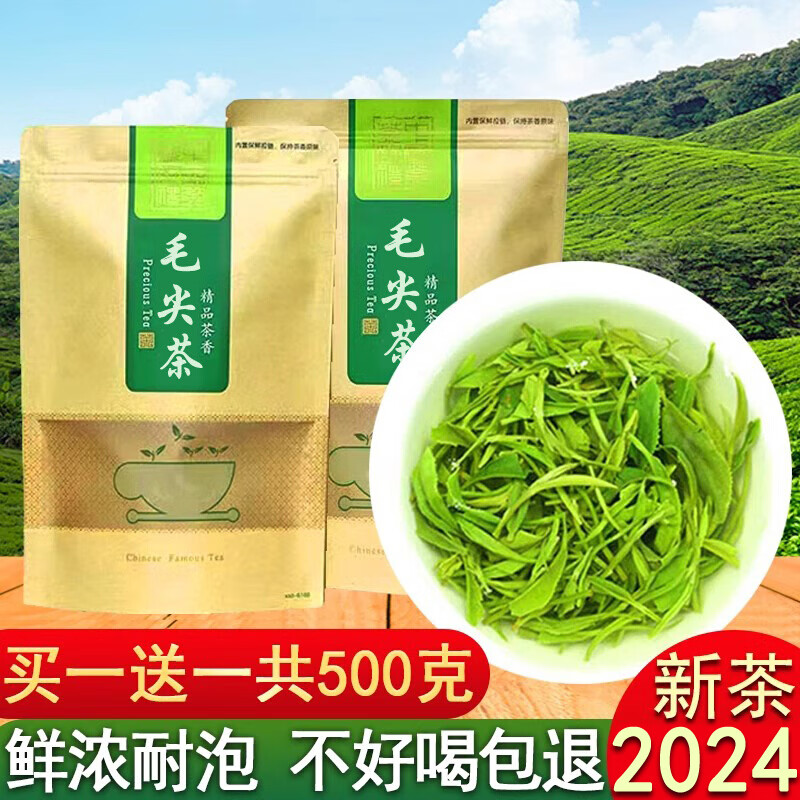 信陽(yáng)毛尖2024新茶綠茶散裝茶葉正宗雨前春茶袋裝500g炒青茶濃香型 500g 試喝