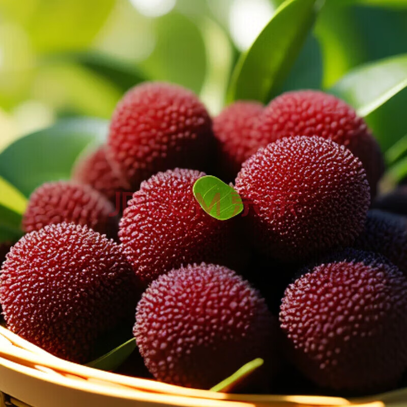 ����˳�᡿������÷2025�궫����÷ݩ���䶳��÷����и�������ˮ�� �����Գ�װ3��    89Ԫ