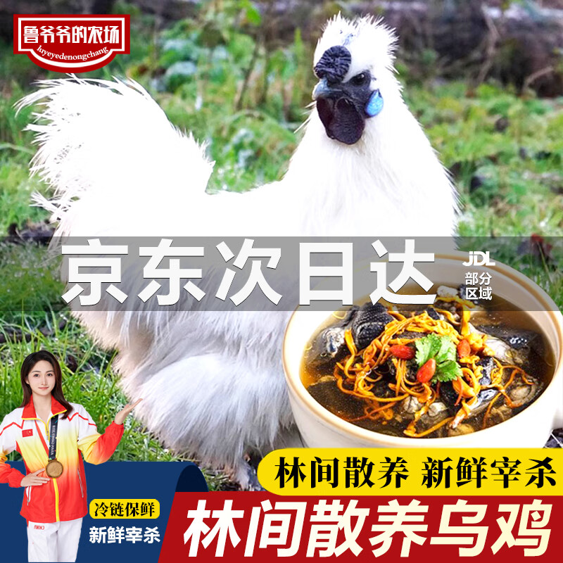 鲁爷爷的农场 清真乌鸡新鲜现杀走地鸡土鸡农家散养正宗乌骨鸡煲汤整只 1只现杀乌鸡 净重700g-800g