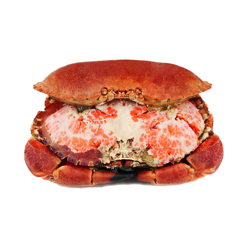 ���� �춳���з  ������2.4��-3.2�� 2ֻ ����̳���Ӣ���������ƴ��з��з  159.9Ԫ