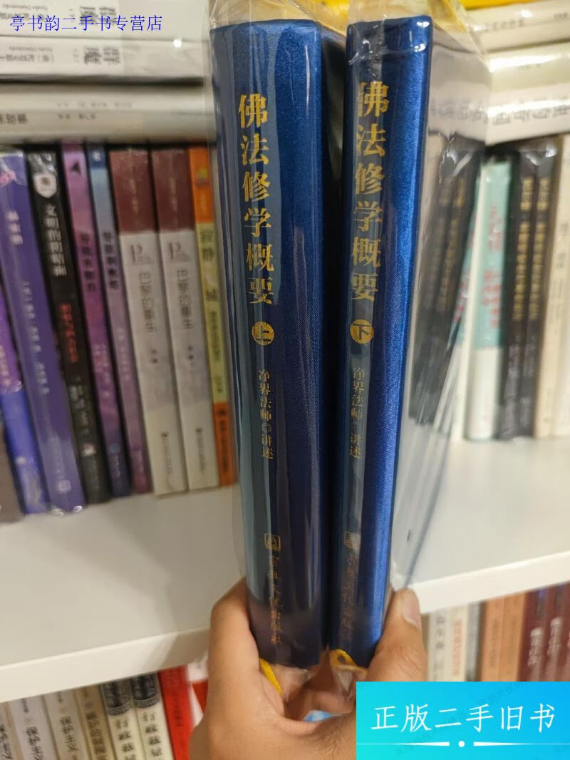 净界法师佛法修学概要