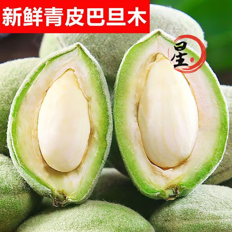 望蓝川现在新鲜青皮巴旦木带壳生大杏仁扁桃仁松鼠巴达木新鲜青皮巴旦木 1000g 精选中大果【薄壳】送工具