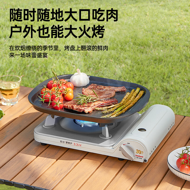 岩谷户外卡式炉卡磁炉瓦斯炉家用火锅炉具烧烤炉子野炊卡斯炉燃气灶 超值野炊套箱【白色】