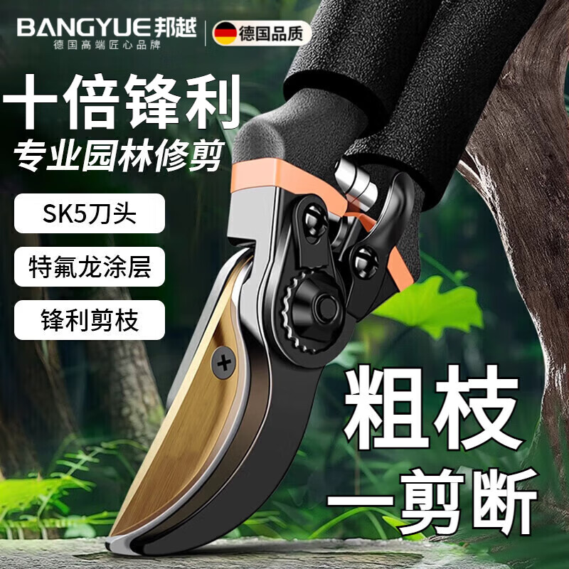 邦越德國剪樹枝剪刀大號粗枝進口大開口果樹專用神器彈簧伸縮園藝剪刀 【園藝剪】SK5合金刀頭-特氟龍涂層