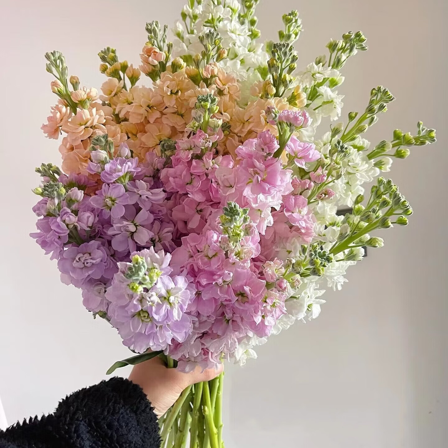 ��������֦��ͥ�칫��ˮ��ƿ�����ϻ���ֱ�������ɫ5֧  1 �����ɫ5֦