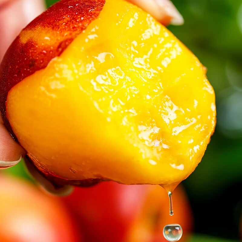 北森南屿山东黄心油桃新鲜黄肉脆甜桃子孕妇水果产地直发脆甜爽口 中果（单果约60-90克）带箱2斤