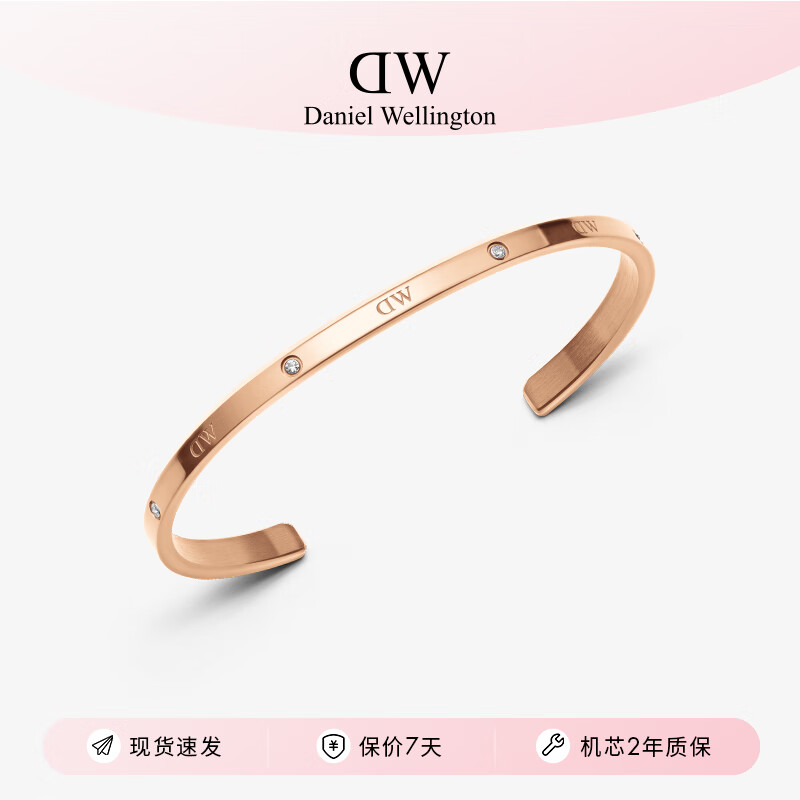 丹尼尔惠灵顿（DanielWellington） DW手镯时尚首饰闪耀星辰手镯女情侣手环节日礼物女DW00400531