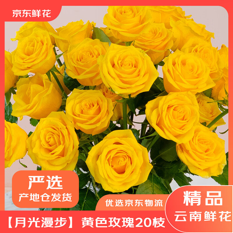 �����ʻ����ز���ѡ�������¹���������ɫõ���ʻ�50-55cm 20֦��������