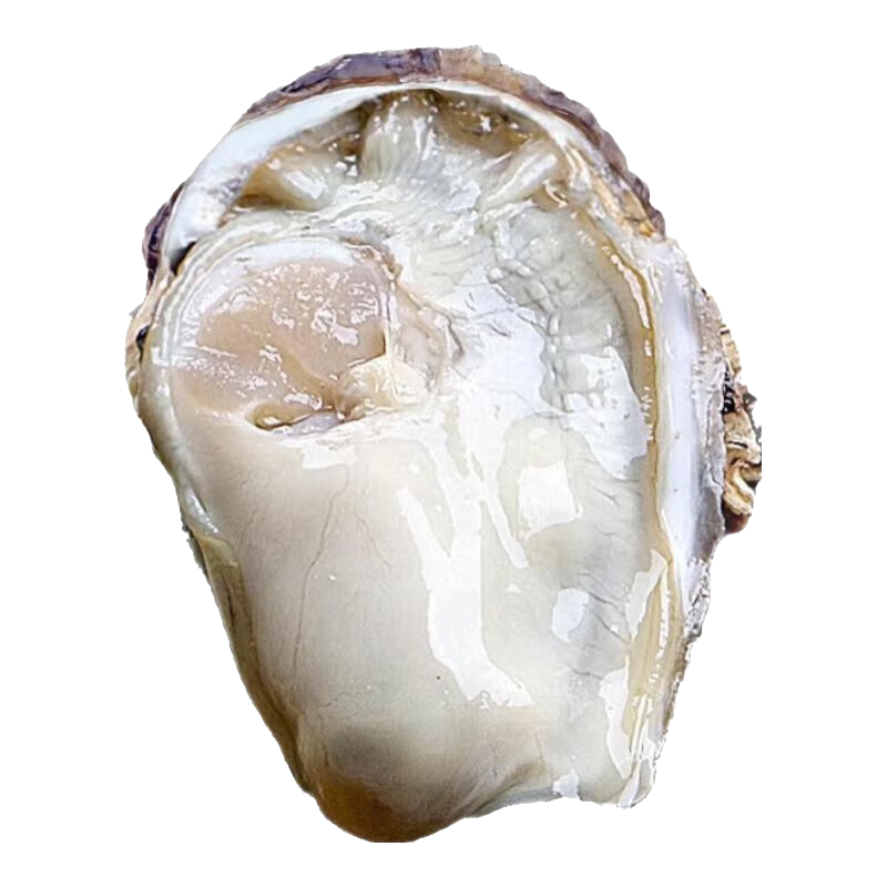 ζʡ ɽĵ ʺʱ ʱ4XL 4(11-13ֻ) 39.9Ԫ(ȯ)