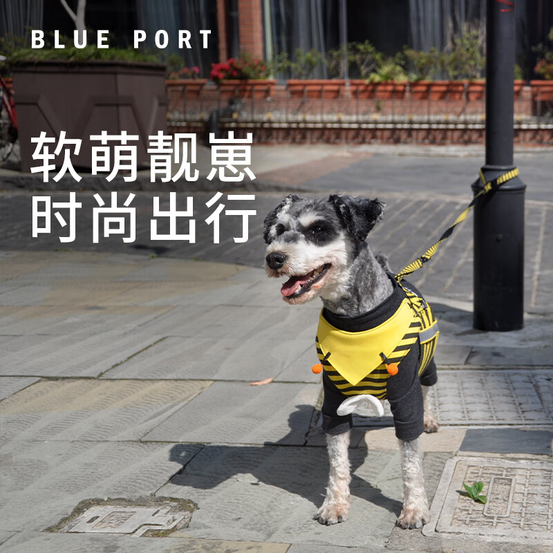 BLUEPORT ESTABLISHED IN 2016���￨ͨ�ر��·����ǣ�����޹�èè��С��Ȯ С�۷��ر� S