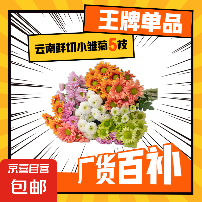 ��С���ա����л����ϻ���ˮ�����ڳ���ͥ�廨�߲ʾջ�Ů������� ���ɫС����5֦