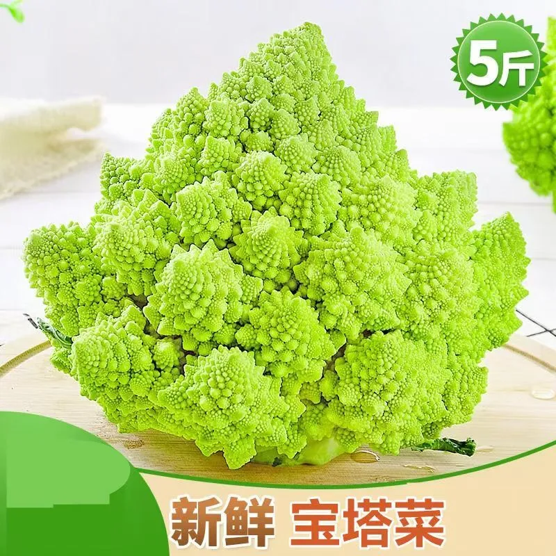 寶塔寶塔菜新鮮花菜羅馬花椰菜綠色佛頭藍花沙拉西餐食材西蔬菜 500-1000g