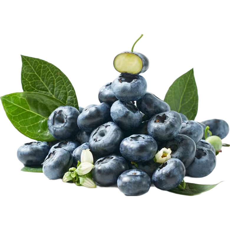 京鲜生 云南蓝莓 6盒装125g/盒 果径12mm+  生鲜水果 源头直发包邮