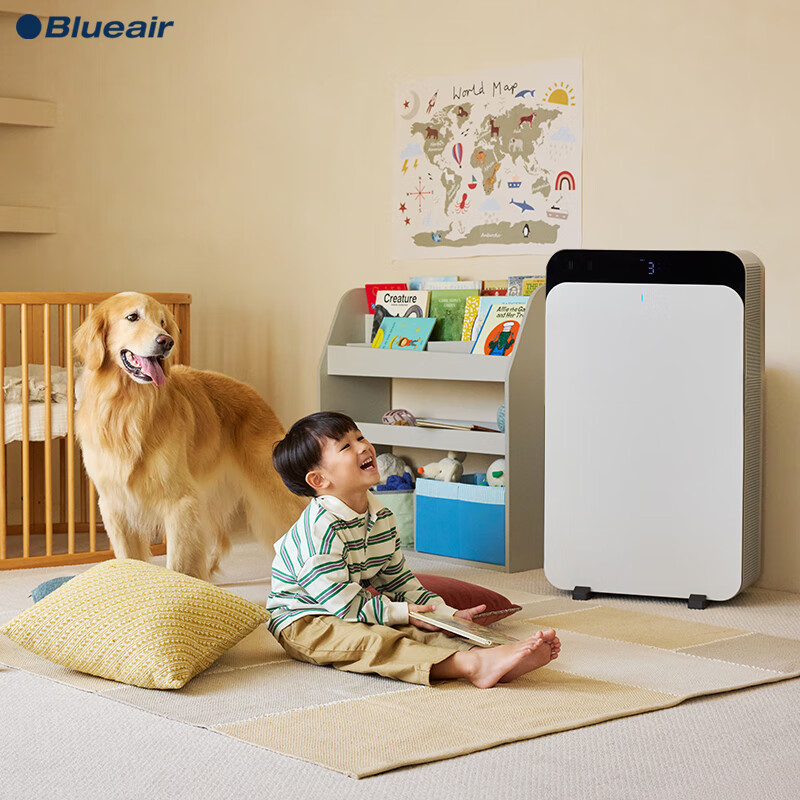 布鲁雅尔（Blueair）【家电国家补贴】空气净化器 CP9i 大空间除甲醛除菌除霾除过敏原异味 烟味 家用卧室空气净化机 CP9i