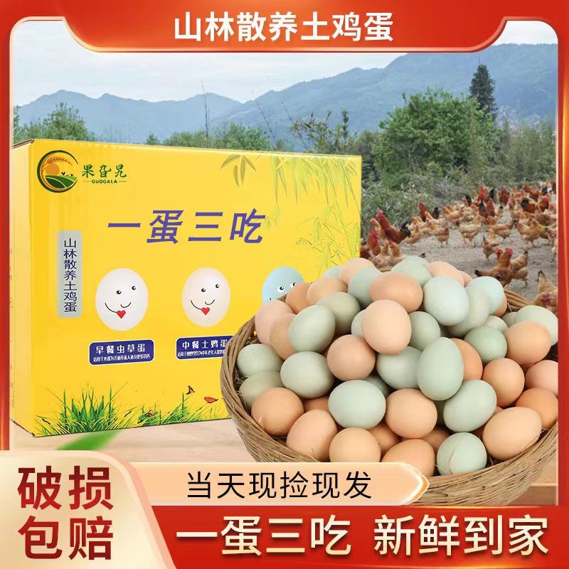 正宗農(nóng)家散養(yǎng)土雞蛋新鮮綠殼烏雞蛋混合裝兒童孕婦營養(yǎng)蛋整箱批發(fā) [45枚土烏蛋彩盒裝]有15枚烏雞蛋