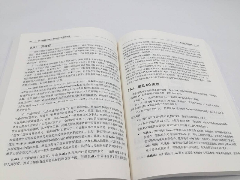 深入理解Kafka：核心设计与实践原理(博文视点出品)详情图