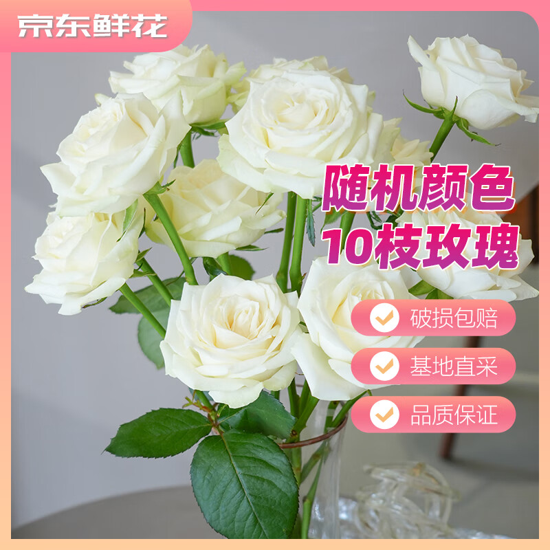 �����ʻ�õ�廨�ʻ�ä��10֦��ɫ���ɽ��������Ů�������ͥ�廨Դͷֱ��