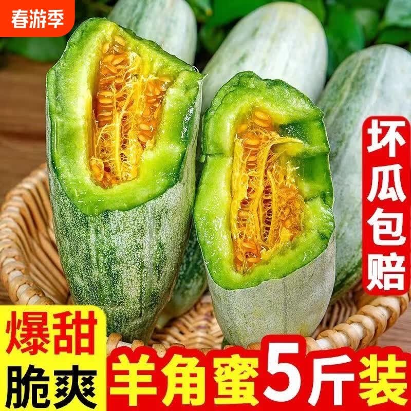 趣鲜语山东头茬羊角蜜甜瓜【当天发货】水果新鲜当季整箱香瓜蜜脆瓜羊角 5斤【商超果-头茬巨甜|单果200g+】净重4.5斤