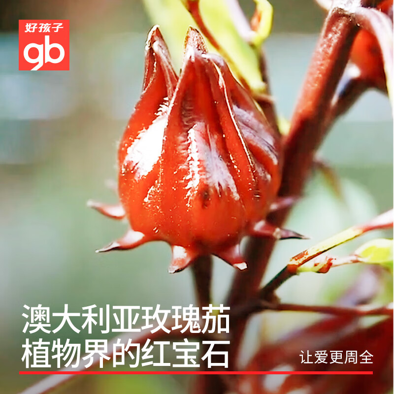 好孩子生肤息儿童泡泡洗发水男女孩宝宝无泪氨基酸洗发露洗头膏 洗发水50ml+沐浴露50ml