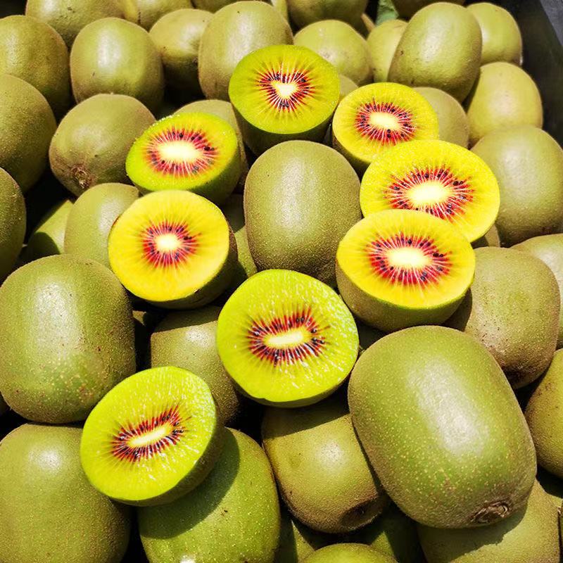 盛觅 四川红心猕猴桃奇异果弥猕桃猕猴桃红心新鲜水果 红心果15粒单果70-90g 自有果园