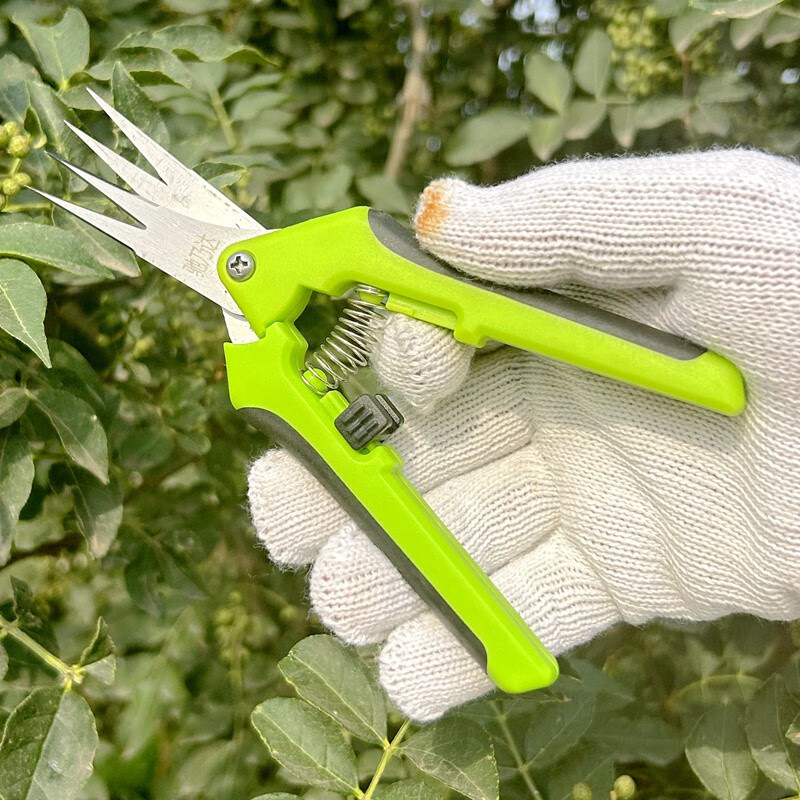 摘花椒神器采摘工具专用手套防刺农用龙眼摘荔枝葡萄剪花椒的剪刀 四
