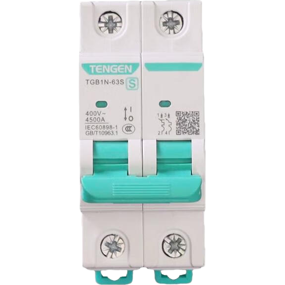 ����������TENGEN���տ���������С�Ͷ�·����·���ر���C���ܿ��� TGB1N-63S 2P C63