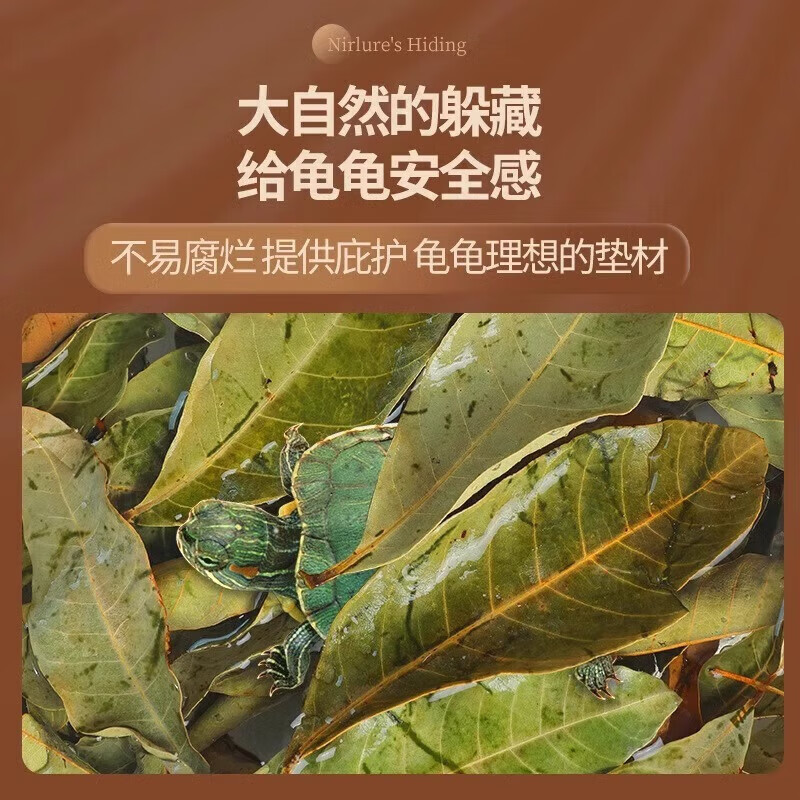 乌龟专用龙眼叶养龟造景树叶躲避免煮叶子龟缸调 乌龟晒背台-白色超大号-1个装