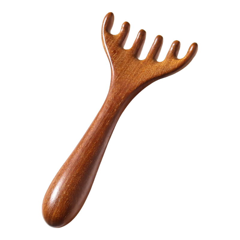 ���ԣ�XINCONG��¹�ǰ�Ħ����С������ͷƤ��Ѩ���������۲���Ħצ�������Ҿ���ˢ 1��װ ��֬�ͷ�ư�Ħ����