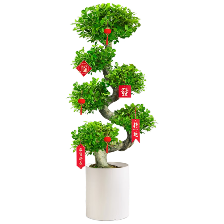 �����н�Ǯ���в�ҡǮ�����԰칫�ҿ������ڴ���ֲ�辰��Ǩ��ҵԴͷֱ��