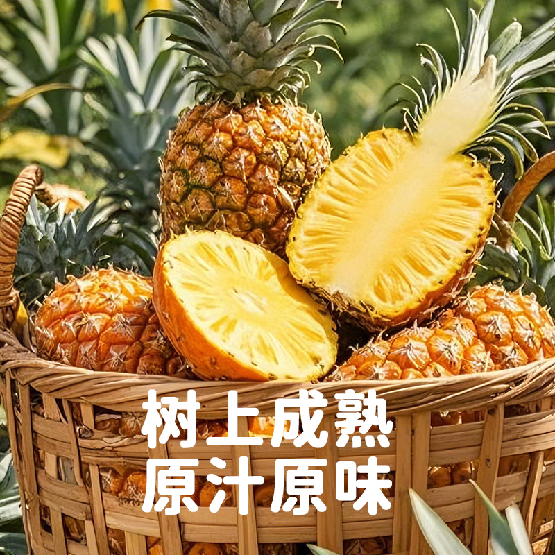 海南金钻凤梨新鲜水果时令整箱菠萝文昌直发生鲜采摘 中果带箱5斤