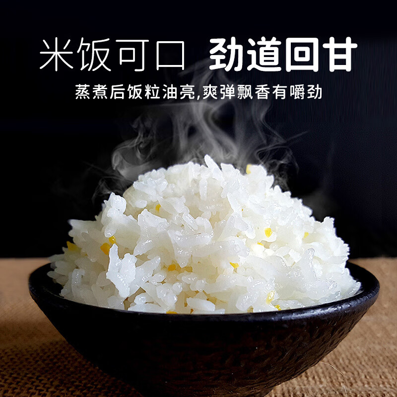 南納香泰國香米原糧進(jìn)口長粒香米泰香米5斤真空包裝泰國香大米 泰國大象香米【2+3斤】