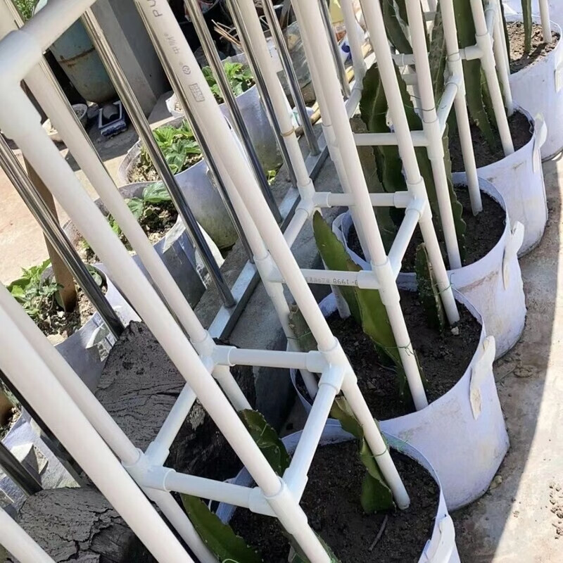 火龙果支架不锈钢种植专用架pvc支撑架子花架盆栽地栽火龙果顶圈 26*