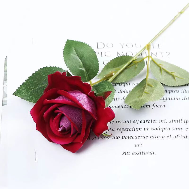 ���˷���õ�廨���˽ڻ�����֧�ٻ����������ڼ��ҾӲ廨�ɻ�����װ�� ��ɫõ��һ֧��һ��һ�⣩