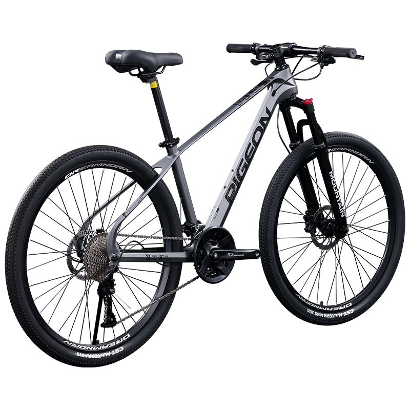 飛鴿（FLYING PIGEON）鎂合金變速山地車(chē)自行車(chē)成人男女青少年中小學(xué)生車(chē)競(jìng)賽單車(chē) 撼路者-鎂合金版-灰色 26英寸 適合160-180cm 24速入門(mén)版