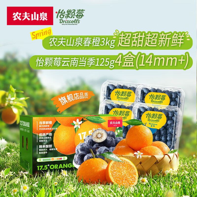 ����ݮ�����ϵ���������������ݮ ������ݮ ����ˮ�� �������� ��ݮ�ó��桿17.5�㴺��+�й�4��