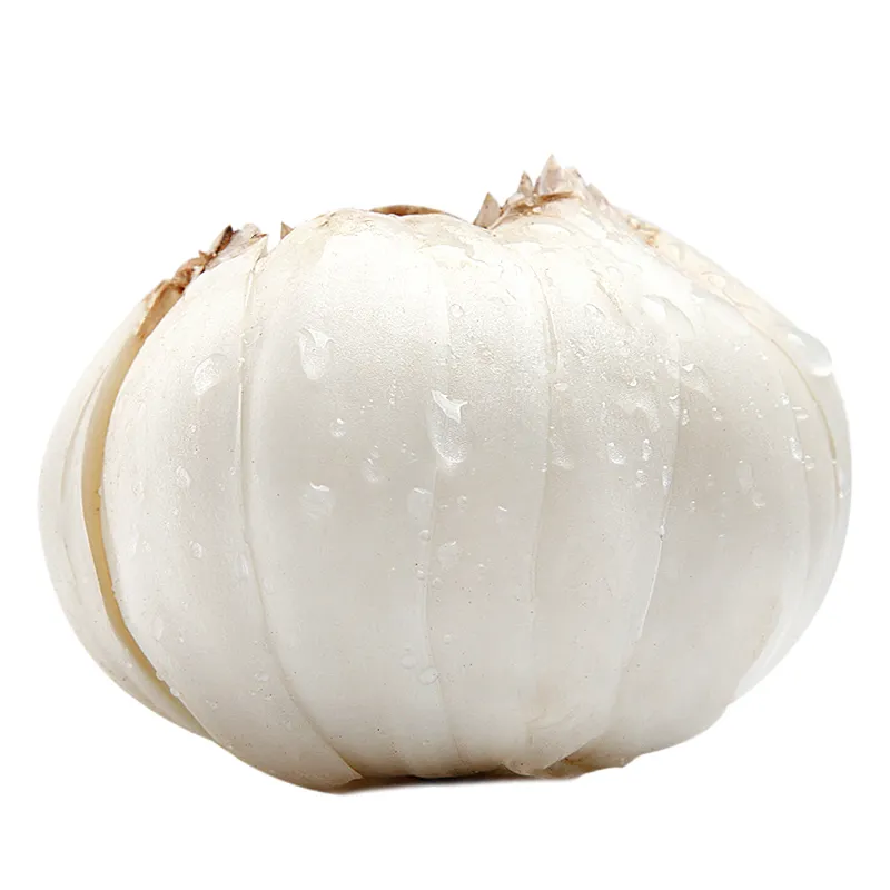 新鲜现挖兰州百合精选九年生大百合农家食用甜百合 9年生大果1斤装3袋