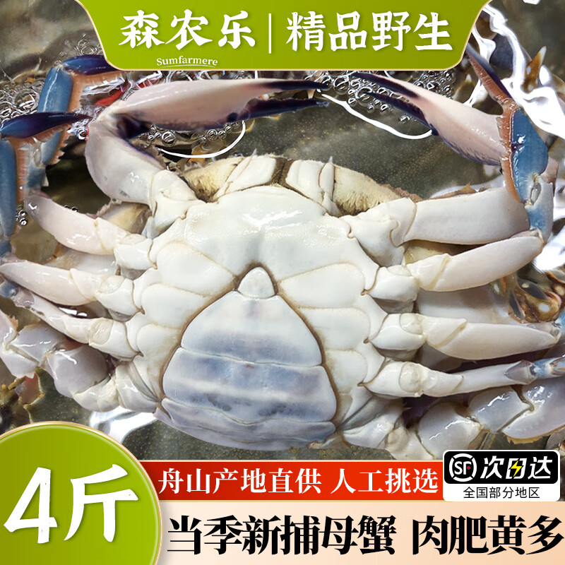 梭子蟹鲜活舟山特大母蟹野生大螃蟹冷冻生鲜海鲜新鲜海蟹飞蟹白蟹 净重4-6两/只【2000g 大号鲜肥满足】