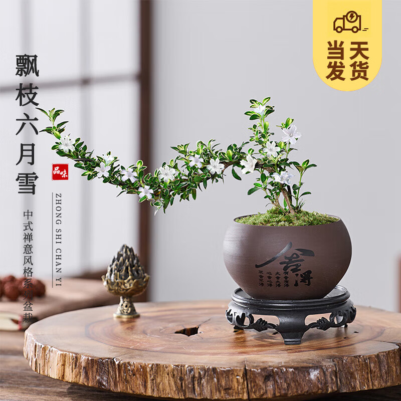 ��ʱ�� �������ѩ��������Ʈ֦���� ��ʽ����������ֲ�辰Դͷֱ������ ������������ɰ��+̦޺+����