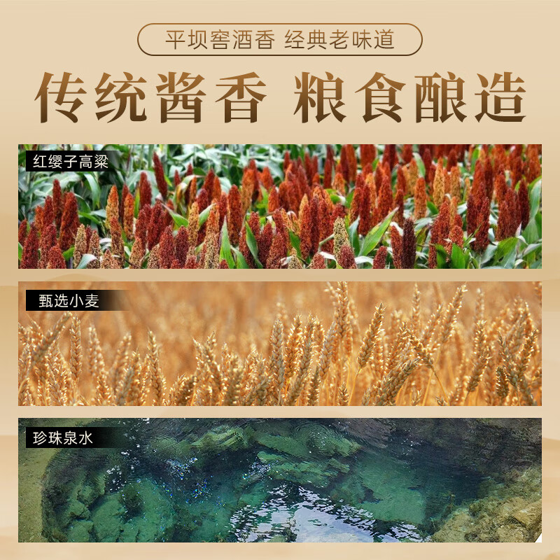 平坝窖酒金樽纪元 平坝酱酒53度酱香型白酒贵州高粱酒粮食酒宴请商务送礼 53%vol 500mL 6瓶 箱整