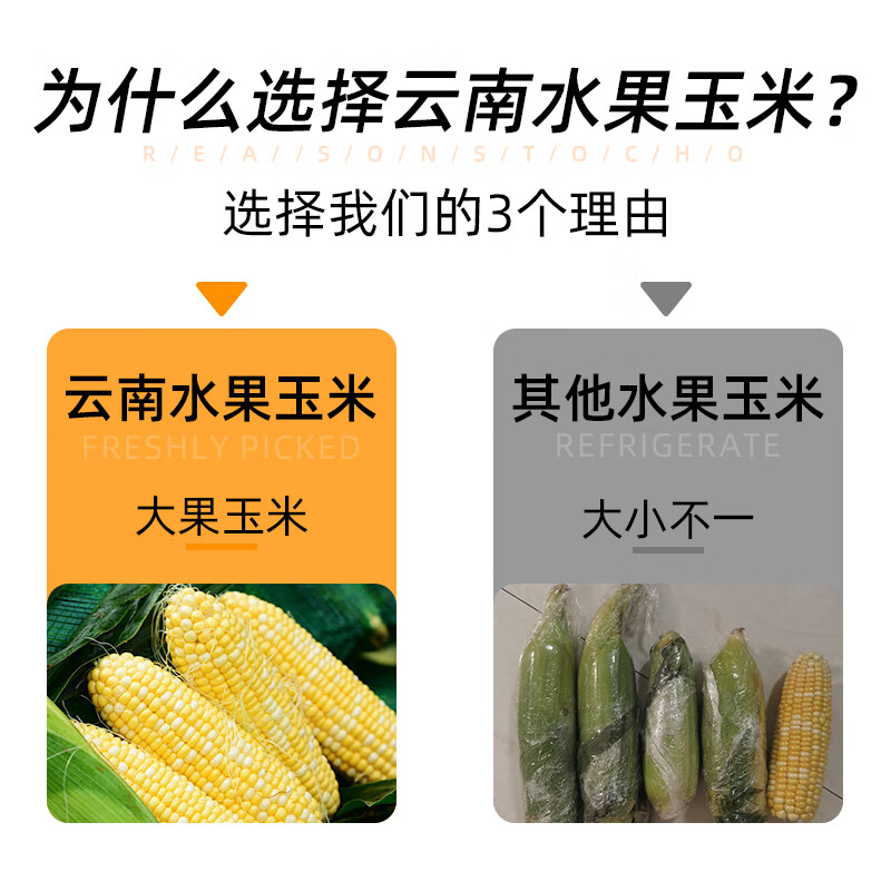 悠轶云南水果玉米 甜玉米棒子新鲜生鲜蔬菜香甜多汁应季 精选2斤 约2-3根 源头直发