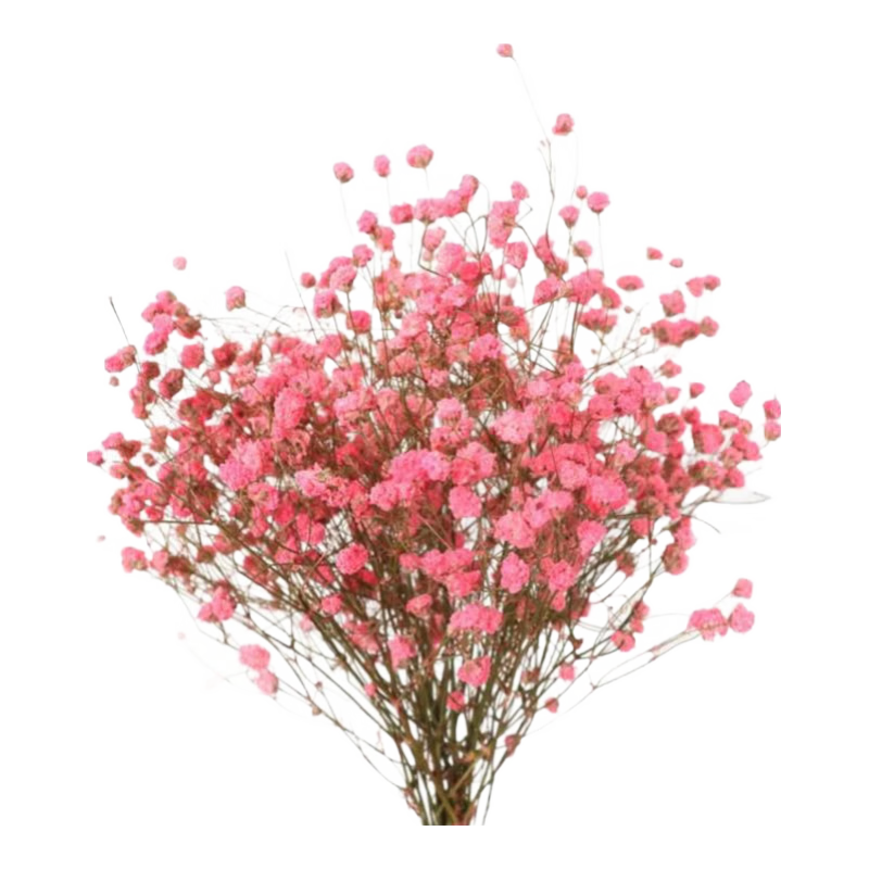 AIMAN insɻҾӰС¿廨װƷ  һѷɫ ֦ 15.38Ԫ