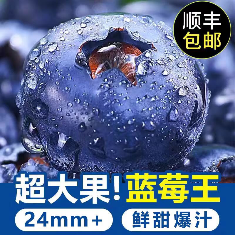 ������ɽ��ݮ�ʴ����������ˮ��������ʳ���ϻ�����ݮ˳����� ������ݮ20-24mm����125g/��˳��