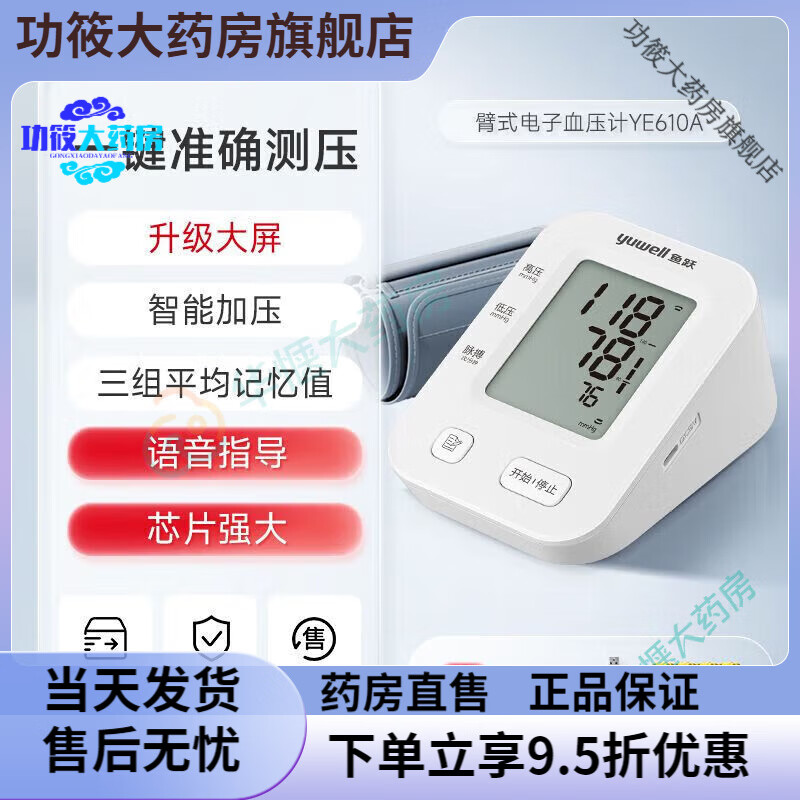 ��Ծ ����Ѫѹ�� USB˫�����������