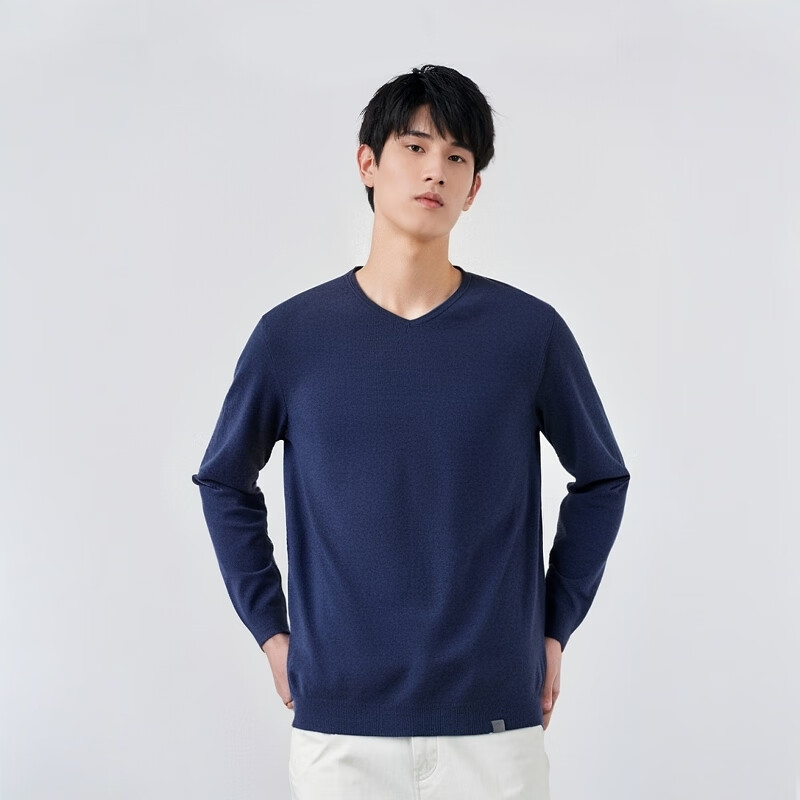 阿仕顿（ARTSDON）2025年春季男新款时尚舒适简约V领休闲套头针织衫 藏青色藏青D1S13101 S (165) 推荐95-110斤