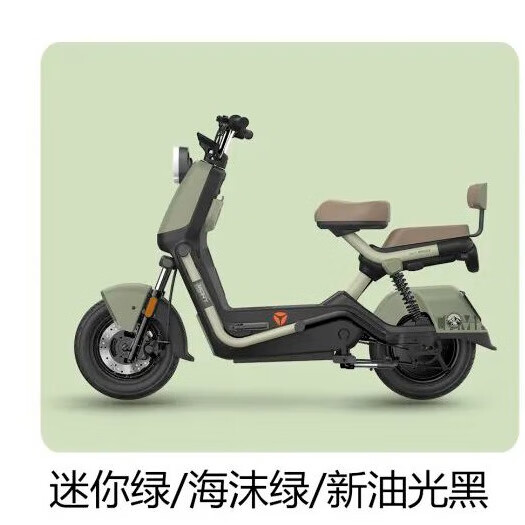 雅迪2025新款B50-H新国标电动自行车长续航电瓶车 B50-H-豪华版前碟+迷你绿48V21A