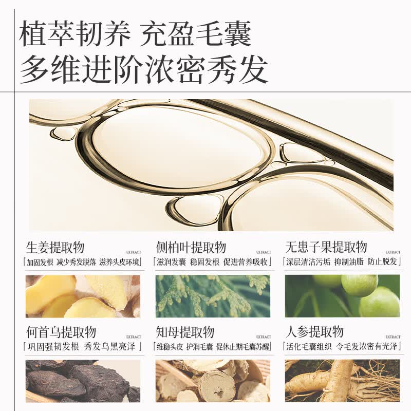 紫郁洗发水去屑止痒控油持久蓬松毛囊清洁滋润头皮防断发掉发洗头膏露 臻效控油蓬松净澈去屑洗发水500g*2