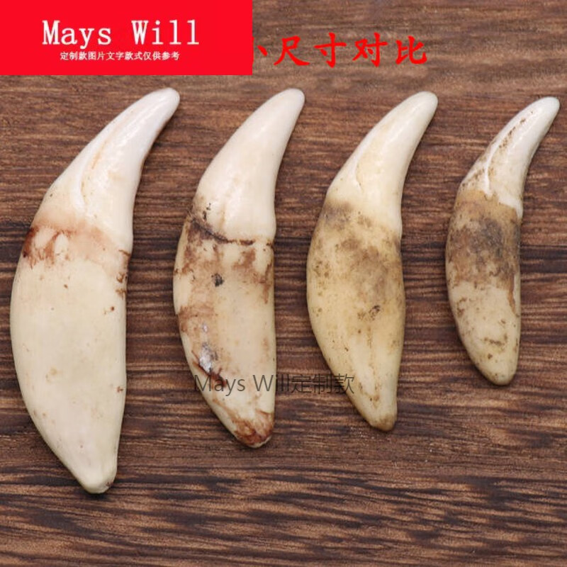 mays will饰品黑狗牙吊坠狗牙挂件婴幼儿童狗牙手链狗牙齿项链 狗牙3.