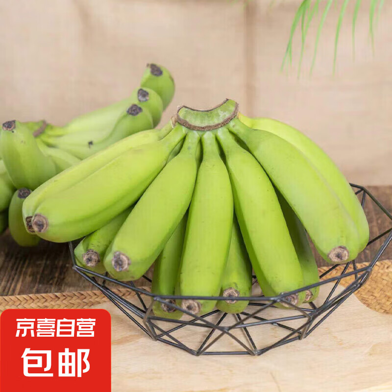 �������㽶 ���ʲ�ժ��̬��ֲ ����� ���㽶���� 9��